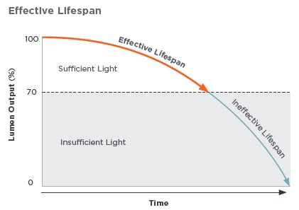 Effiective lifespan infographic