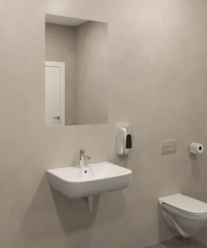 Accord Polycarbonate Mirror