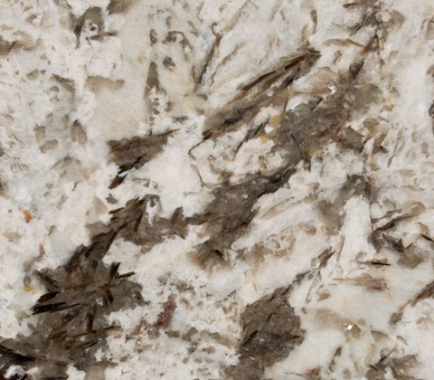Bianco Antico
