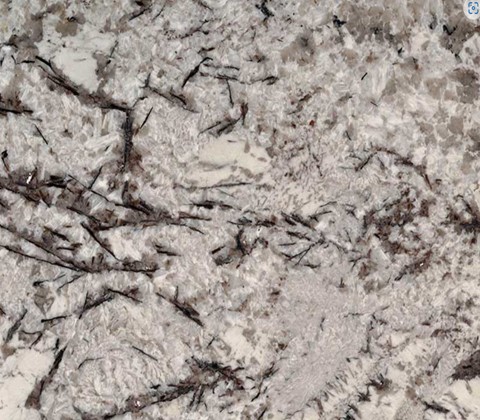 Delicatus White