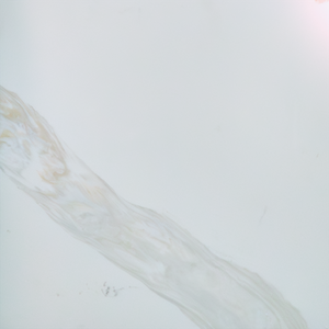 Golden Silk Carrara