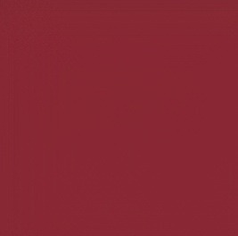 Pantone 202C