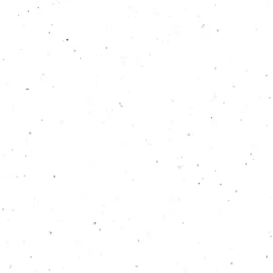Arctic Pearl