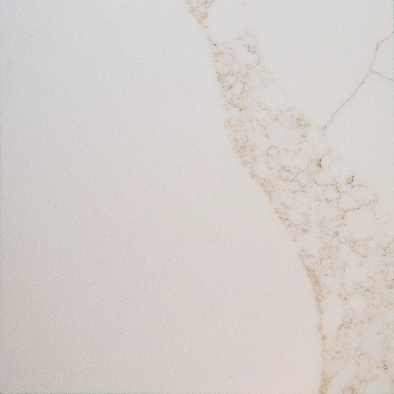 QT-1017 Icy Carrara